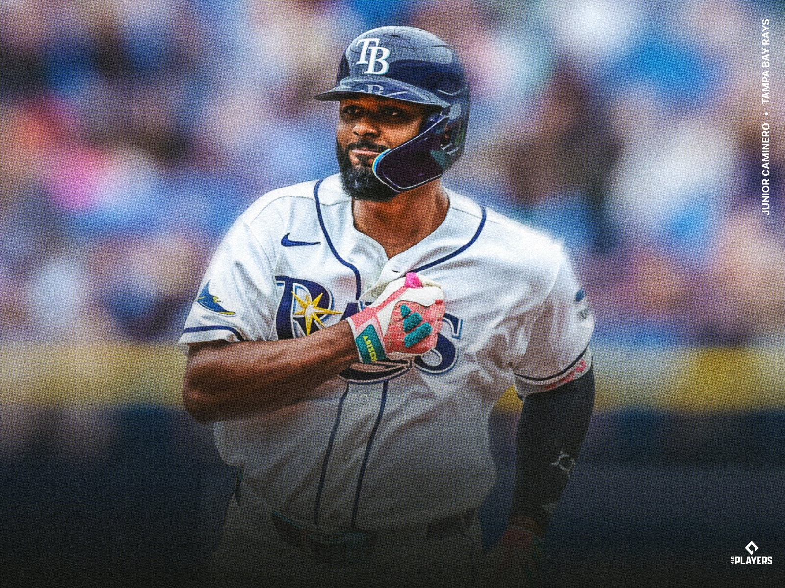 MLB American League Champions