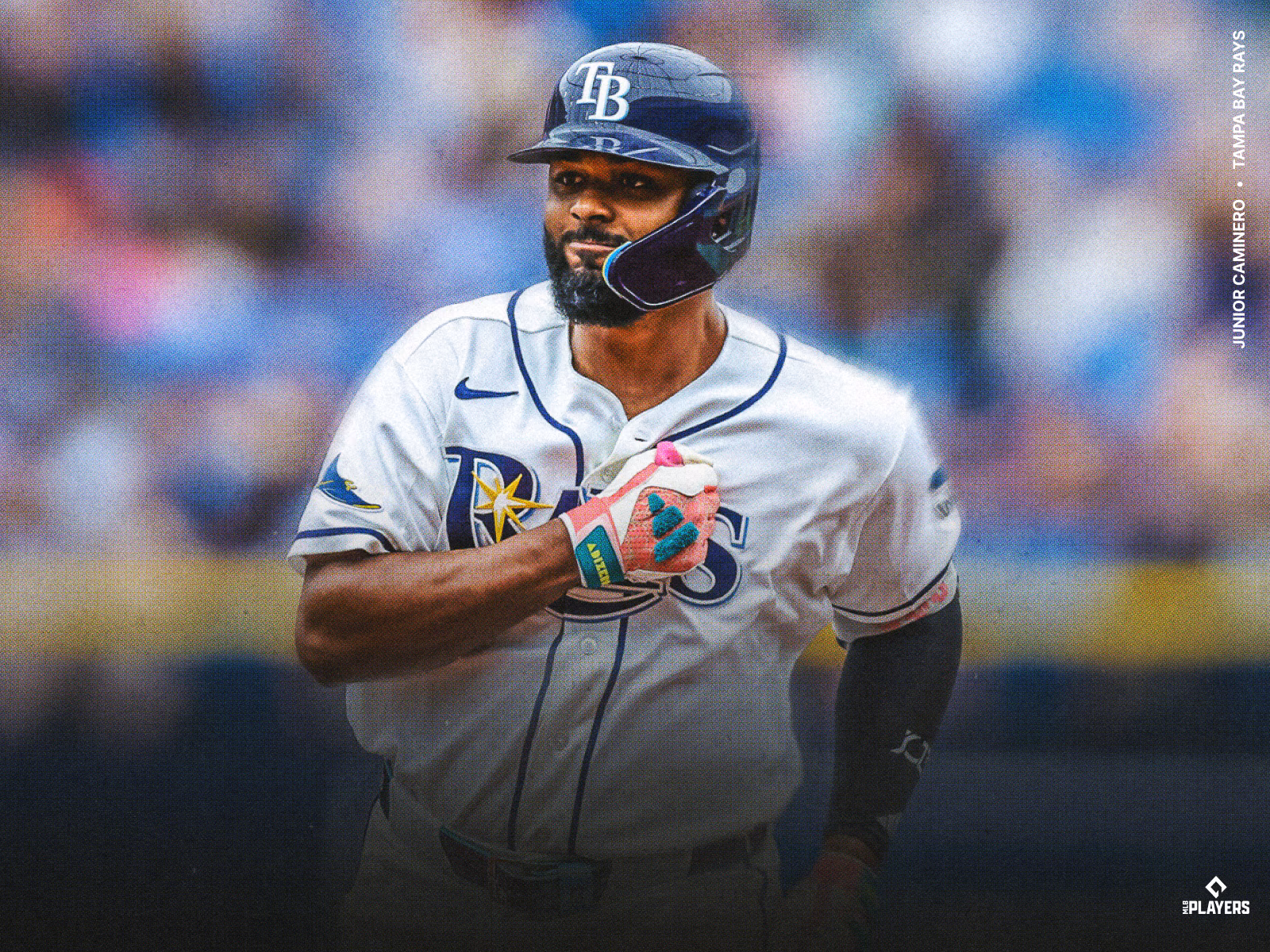 MLB American League Champions